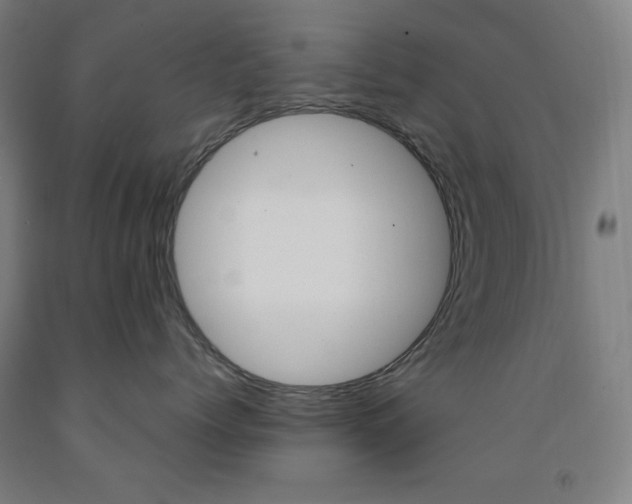 X0000093130768200709261035