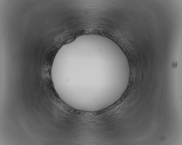 X0000093130770200709261034