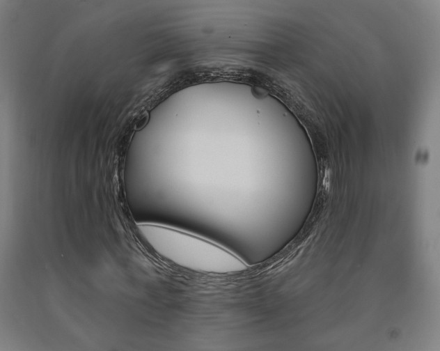 X0000093130771200709261034