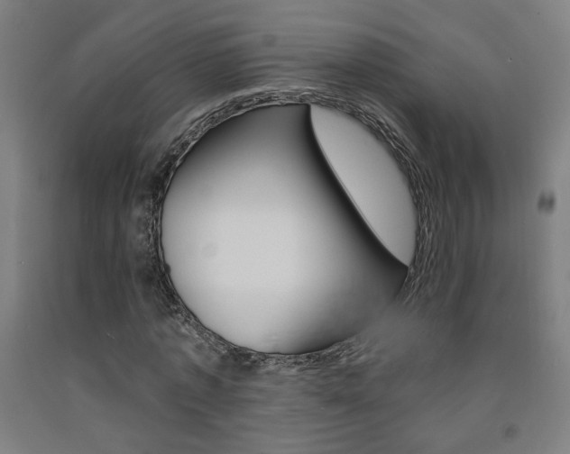 X0000093130773200709261034