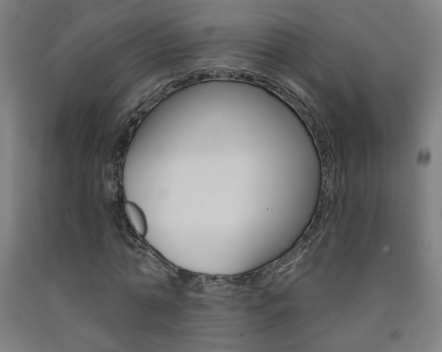 X0000093130774200709261034