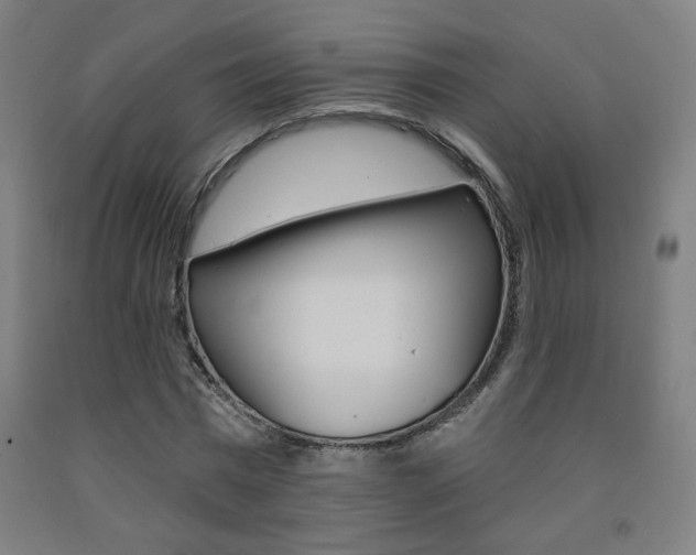X0000093130777200709261034