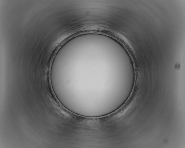 X0000093130778200709261034