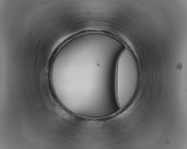 X0000093130779200709261034