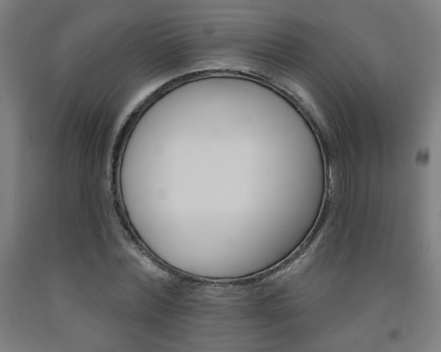 X0000093130780200709261034