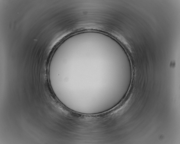 X0000093130782200709261034