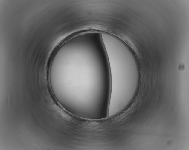 X0000093130784200709261034