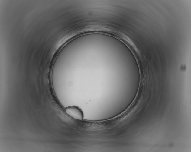 X0000093130786200709261034
