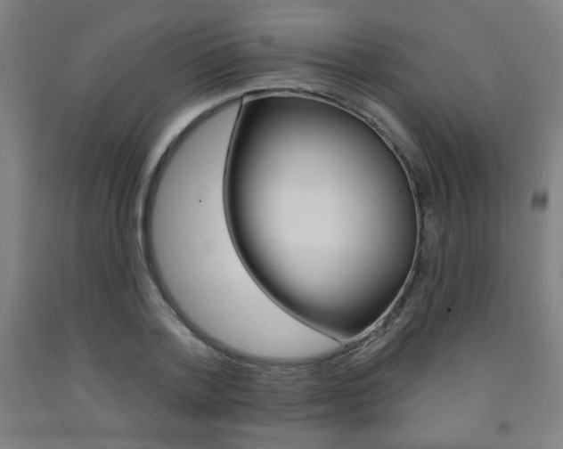 X0000093130788200709261034