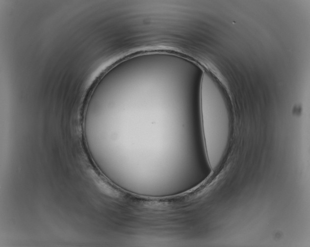 X0000093130789200709261034