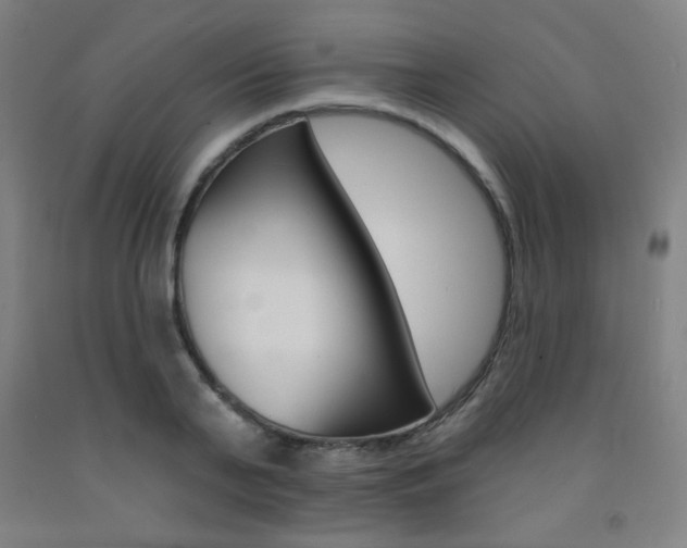 X0000093130791200709261034