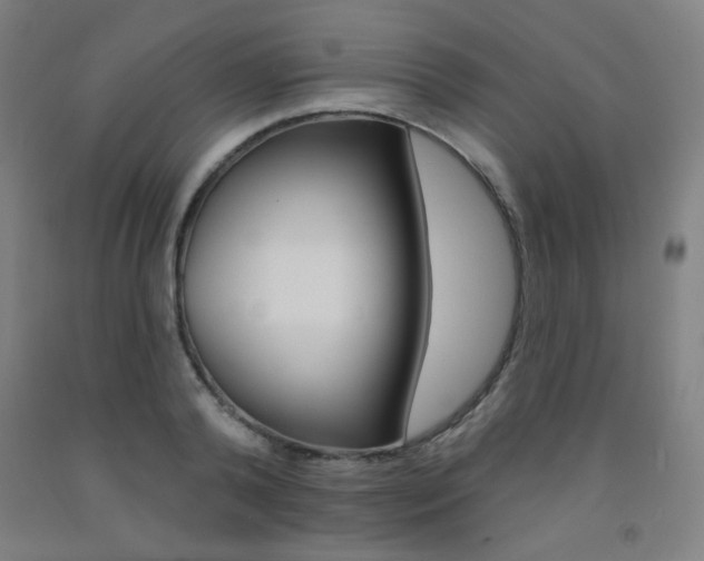 X0000093130792200709261034
