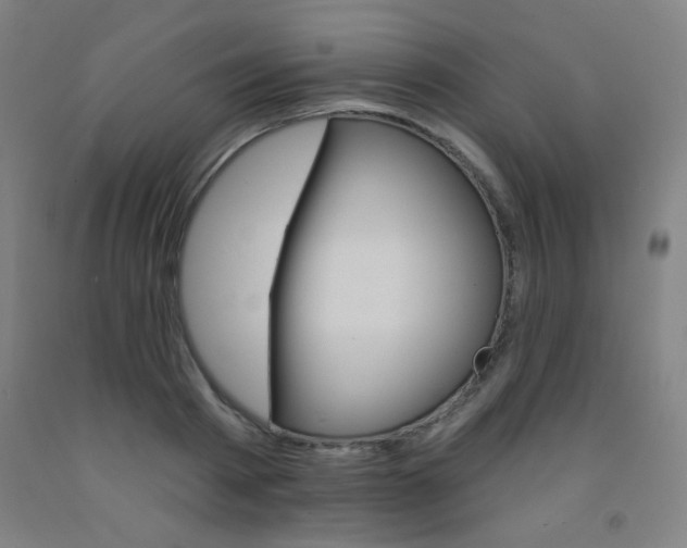 X0000093130793200709261034