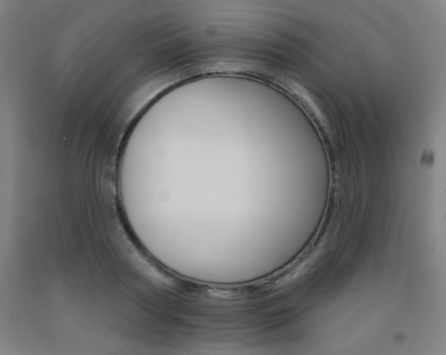 X0000093130794200709261034