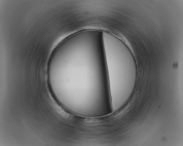 X0000093130795200709261034