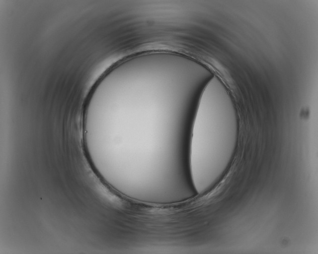 X0000093130796200709261034