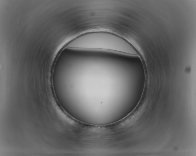 X0000093130797200709261034