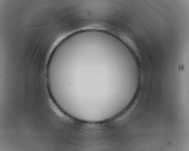 X0000093130800200709261034