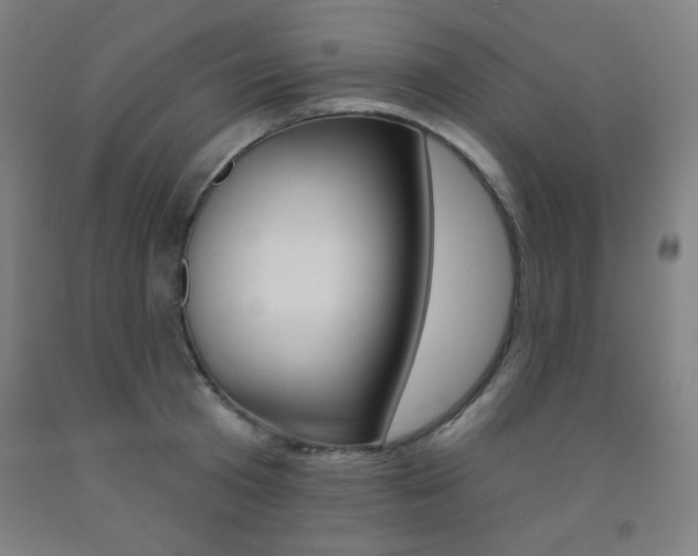 X0000093130801200709261034