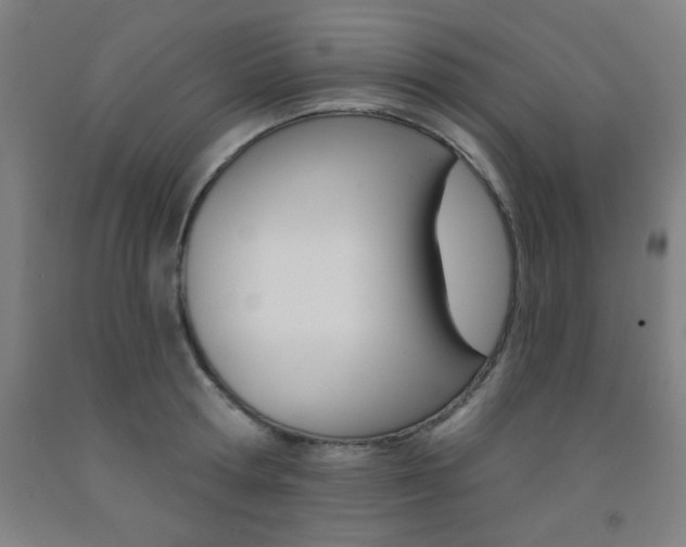 X0000093130802200709261034
