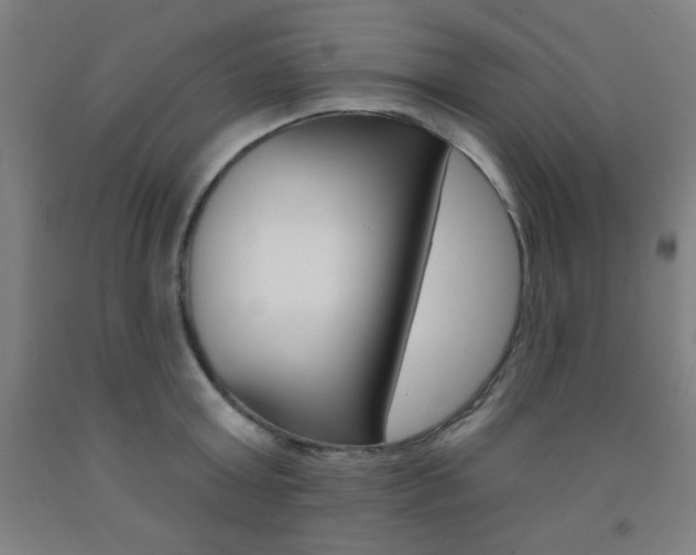 X0000093130803200709261034