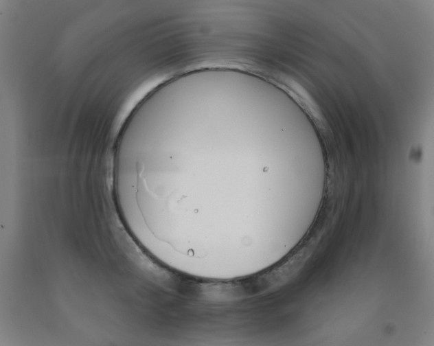 X0000093130804200709261034