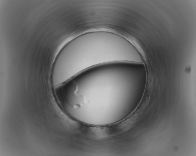 X0000093130805200709261034