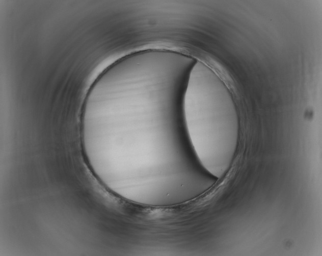 X0000093130808200709261034