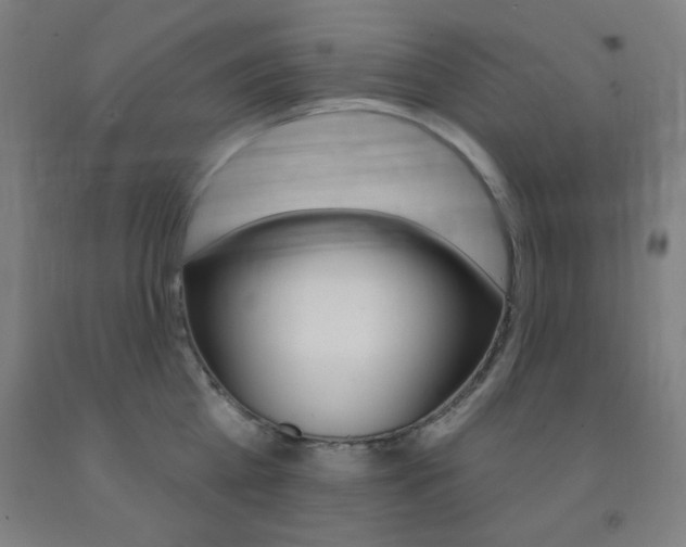 X0000093130809200709261034