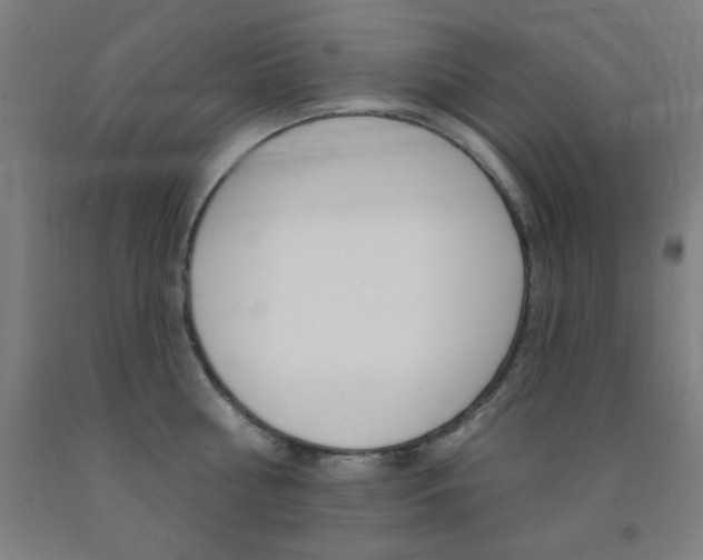 X0000093130810200709261034
