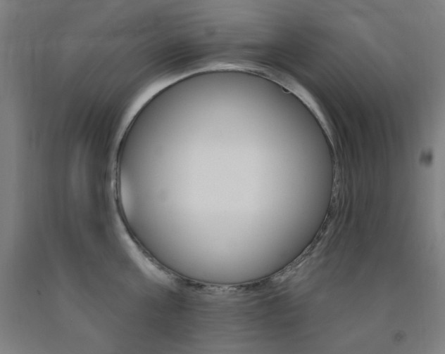 X0000093130811200709261034
