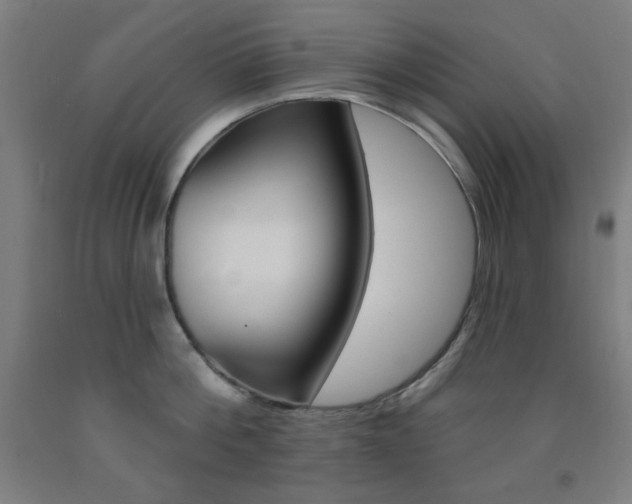 X0000093130812200709261034