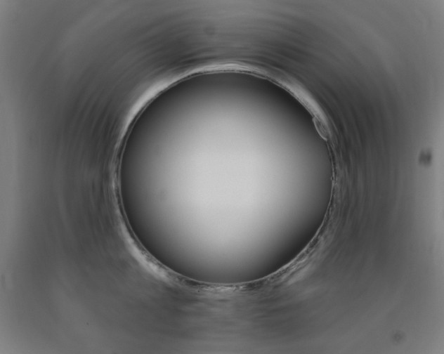 X0000093130813200709261034