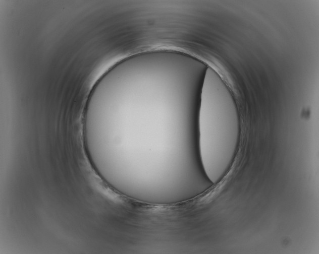 X0000093130814200709261034