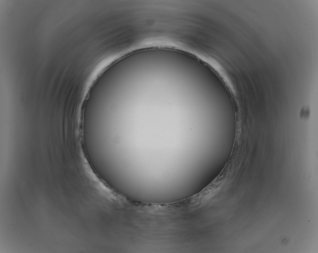 X0000093130815200709261034