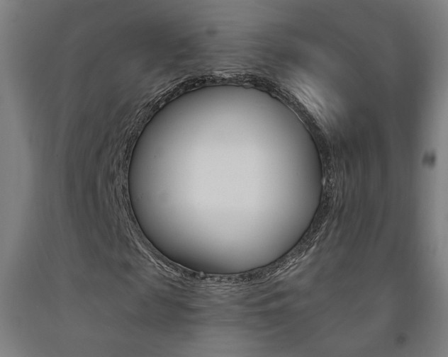 X0000093130817200709261033