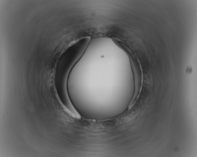 X0000093130818200709261033
