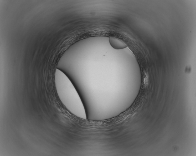 X0000093130819200709261033
