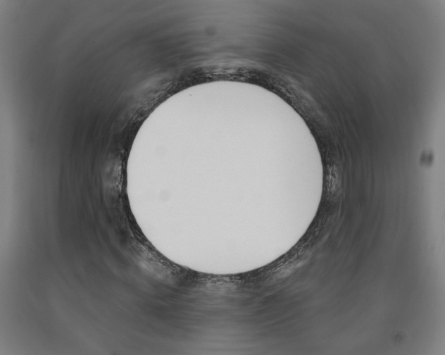 X0000093130820200709261033