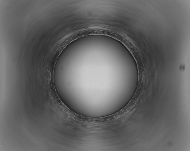 X0000093130821200709261033