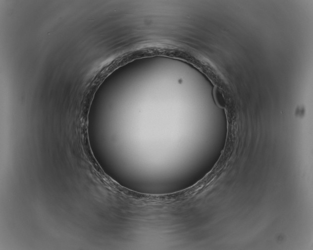 X0000093130822200709261033