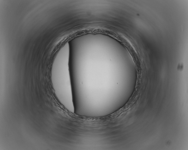 X0000093130823200709261033