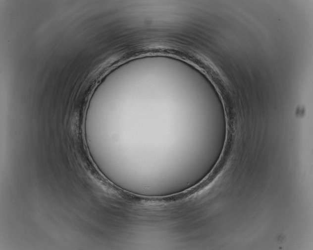 X0000093130825200709261033
