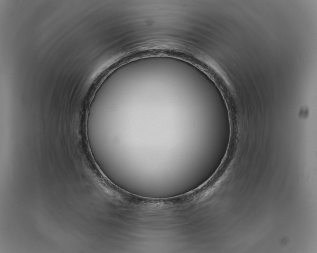 X0000093130826200709261033