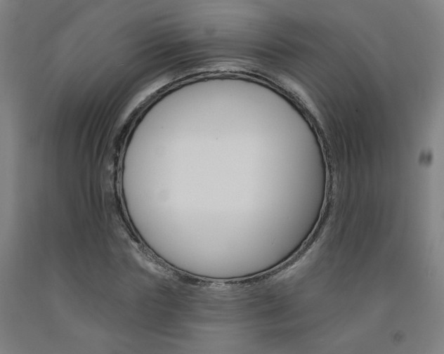 X0000093130827200709261033