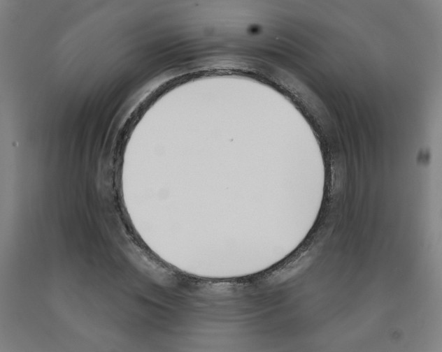 X0000093130828200709261033