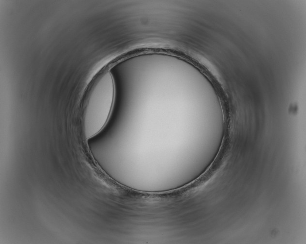 X0000093130829200709261033