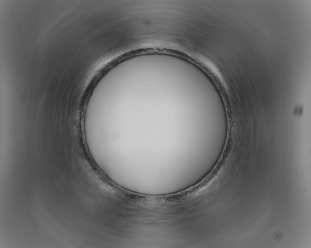 X0000093130831200709261033