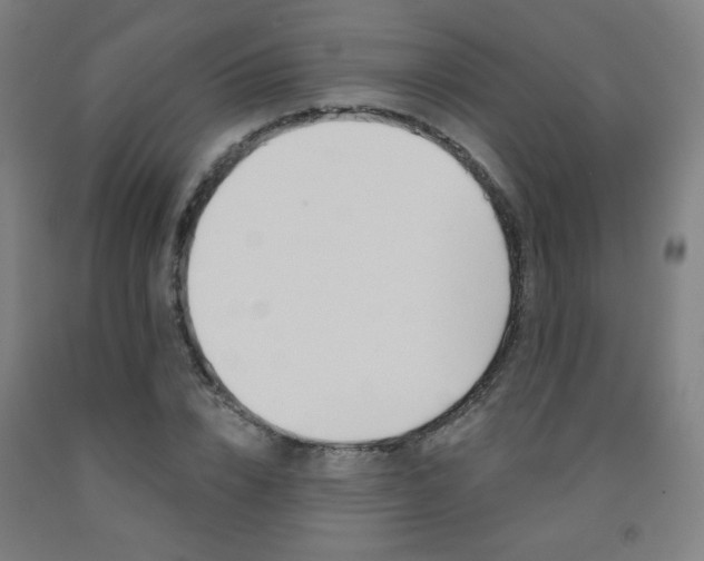 X0000093130832200709261033