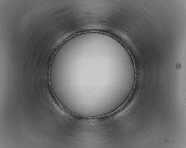 X0000093130833200709261033